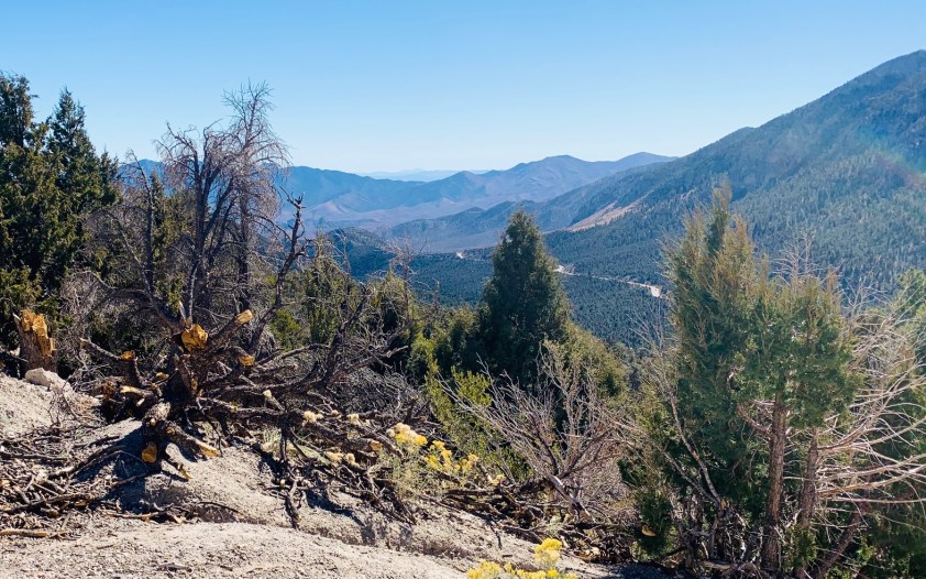 mnt charleston oct 2019